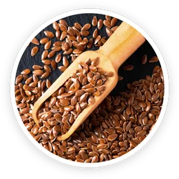 Flax seed powder