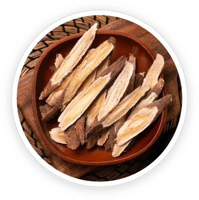 Astragalus root